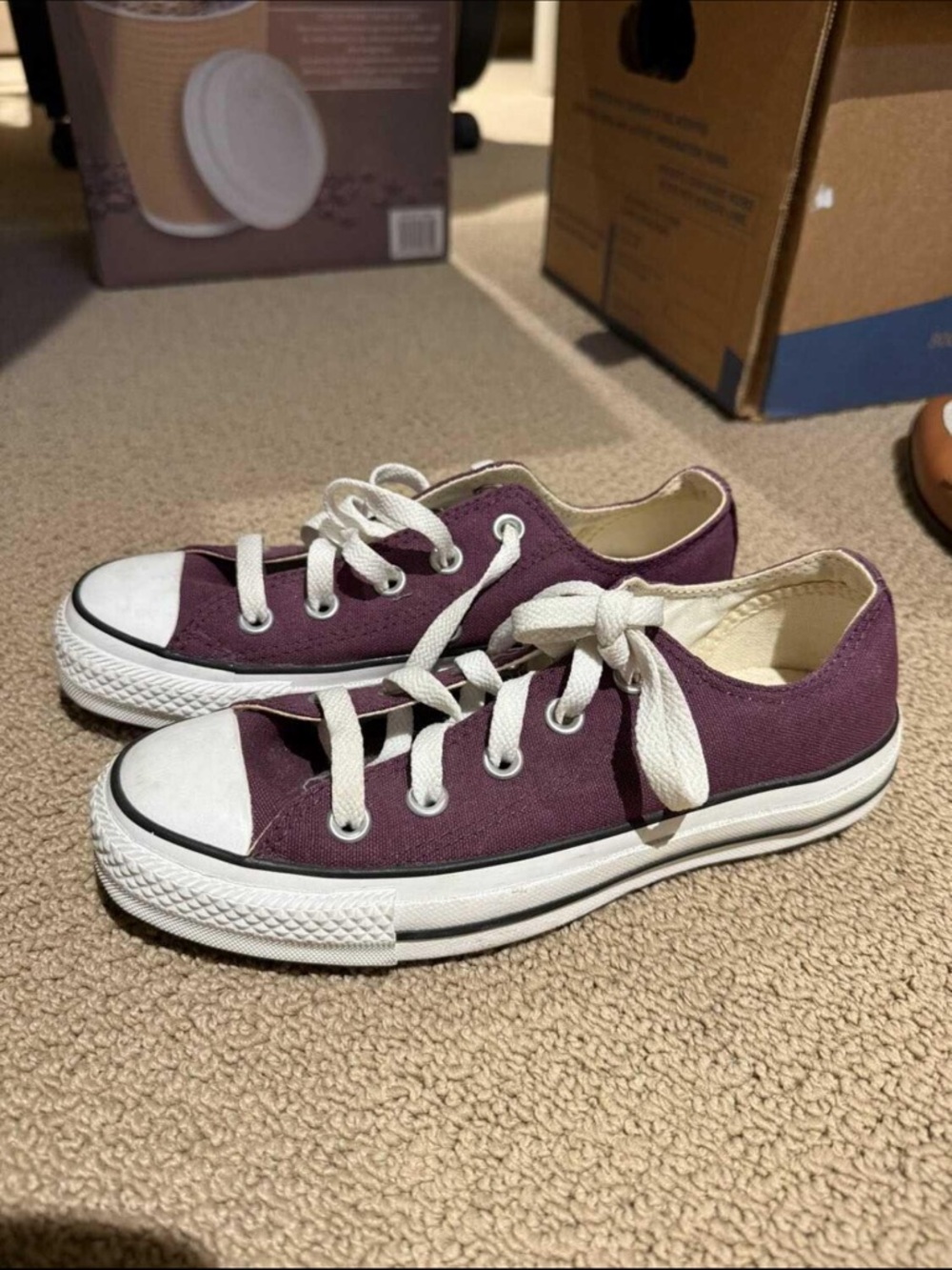 Low Top Canvas Converse Sneakers in Purple